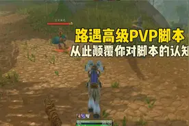 PVP高级脚本 魔兽世界怀旧服视频封面