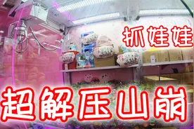 超级解压的娃娃机玩法，一爪抓一堆心情太舒畅！视频封面
