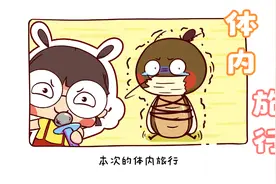 如果蚊子在你体内旅个游会怎么样？视频封面