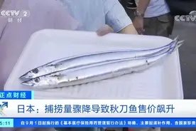 日本秋刀鱼售价一度飙至每公斤1043元 平民美食如今令人望而却步视频封面
