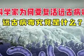 科学家为何要复活远古病毒？远古病毒究竟是什么？到底有多可怕？视频封面
