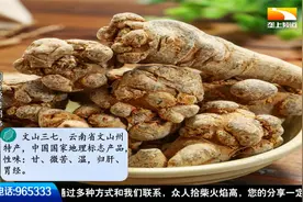 三七粉养生正流行，但不同类型的三七药性也有差异，你吃对了吗？视频封面