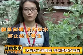 怎样才能彻底灭蚊？教您找出家里的蚊子窝，快来看看吧|健康北京