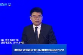 钢城区副区长这样推介钢城！ #钢城区  #莱钢视频封面