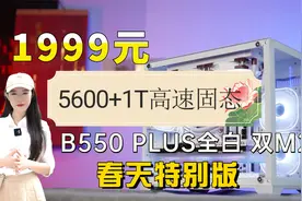 1999元最佳性能5600+B550白色双M2主板+1T  4.0 7000M固态保价618