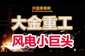 隆基股份和宁德时代被吊打，大金重工今年的涨幅为何如此逆天？视频封面
