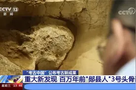 “考古中国”公布考古新成果 百万年前”郧县人“3号头骨面世视频封面