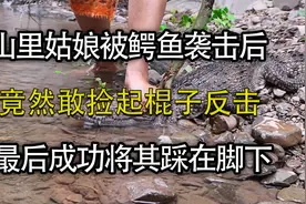山里姑娘被鳄鱼袭击后，捡起棍子反击，最后竟成功将鳄鱼踩在脚下视频封面