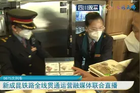 D875次列车从成都南开往西双版纳 ！18点到昆明！22点到版纳视频封面