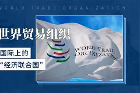 国际上的『经济联合国』——世界贸易组织视频封面
