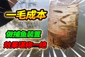 1毛成本自制捕鱼神器，村边臭河塘钓鱼被排挤，一次竟抓了38条鱼视频封面