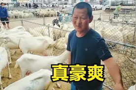 鄂尔多斯畜牧市场，大哥花8800元买了四只奶羊，真豪爽视频封面