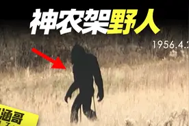 神农架野人之谜，数千目击报告，官方调查队出动，野人到底存在吗视频封面