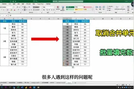 Excel取消合并单元格，批量填充数据的方法视频封面