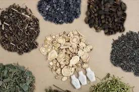 樊正伦教授做客中华文明大讲堂，讲中医文化与顺应四季养生（六）视频封面