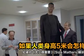 越高越好？如果人类身高达到5米会怎样？纪录片《大小很重要》视频封面
