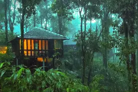 森林小屋深度助眠体验最真实下雨场景改善睡眠质量，失眠患者福音视频封面