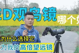 如何选择性价比最高的观鸟镜？测评美国60倍高端望远镜，ED真清晰视频封面