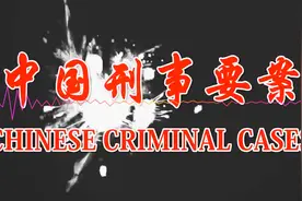 1996年包头系列案件上集视频封面