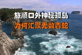 旅顺口外神秘孤岛，无数毒蛇在此汇聚，不大的岛屿暗藏巨大的凶险视频封面