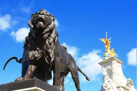 英国哈里王子一头红发，被质疑并非查尔斯王子亲生，这是真的吗？视频封面