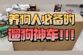 给媳妇置办了一个遛狗神器，养狗人必备的自行车。视频封面