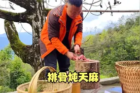 阿泰家刚杀过年猪，用土猪排骨炖天麻补一补，做法简单又营养视频封面
