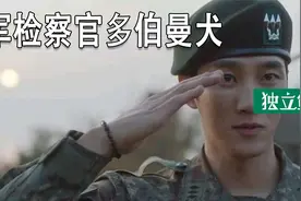 韩剧奇观：什么都敢拍，什么都不改！视频封面