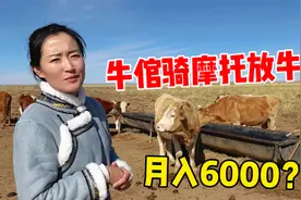 牛倌骑摩托放牛月入6000？万亩草场养20000多头牛，内蒙养牧大户视频封面