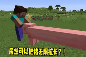 我的世界：居然能把猪无限拉长，还能同时骑好几个玩家！
