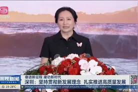深圳：坚持贯彻新发展理念  扎实推进高质量发展视频封面