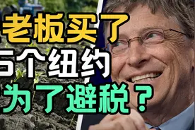 一切资本主义都逃不过土地围剿，盖茨才是真正的大聪明【曹小灵】视频封面