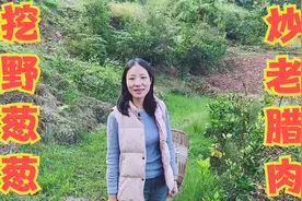 农村山坡挖野葱葱炒腊肉，这味道只能乡下吃得到