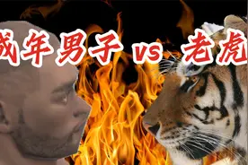成年男子vs老虎视频封面