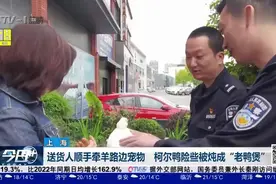 鸭鸭历险记！送货人顺手牵“鸭”，柯尔鸭险些被炖成“老鸭煲”视频封面