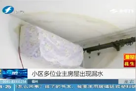 家里墙壁渗水3个月，地板全被泡，找社区主任反应问题竟被拒绝！视频封面