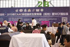 郑州：百只世界名猫同台媲美视频封面
