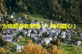 最怕陌生人突然的关心，小姐姐瞬间泪崩，老人再也没有了老来伴视频封面