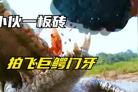 以j血引鳄，小伙肉搏千斤巨鳄 画面震撼视频封面