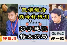 许银川特大不愧象棋第一人！中局功夫如巨蟒缠身，速胜郑一泓特大视频封面
