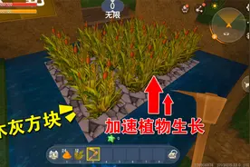 迷你世界：草木灰方块富含营养物质，能加速植物生长，适合种小麦视频封面