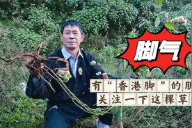 脚气烂脚丫的注意了！这可奇臭的草可能帮你解决烦恼！关键是简单视频封面