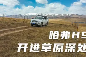 自驾游甘肃，把哈弗H9开到草原深处，小伙第一次尝试越野滋味