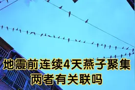 四川乐山发生3.0级地震，地震前连续4天燕子聚集，两者有关联吗？视频封面