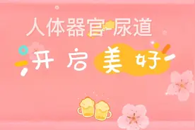 一分钟小知识，了解我们的身体，身体器官-尿道视频封面