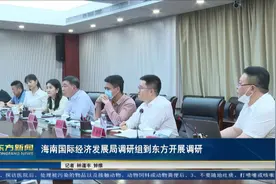 海南国际经济发展局调研组到东方开展调研视频封面