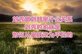 刘秀跟刘邦是什么关系，刘秀的家族是如何从皇族沦为平民的视频封面