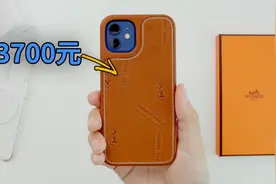 【VLOG】花3700元买了爱马仕iPhone12手机壳 | 大耳朵TV视频封面