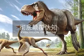 鸟类是由恐龙进化来的？科学家又一发现，彻底颠覆对鸟类的认知！视频封面