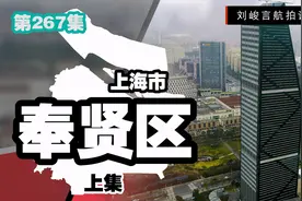 奉贤新城是上海五大新城辐射能力最弱的？来过后才发现这里不简单视频封面